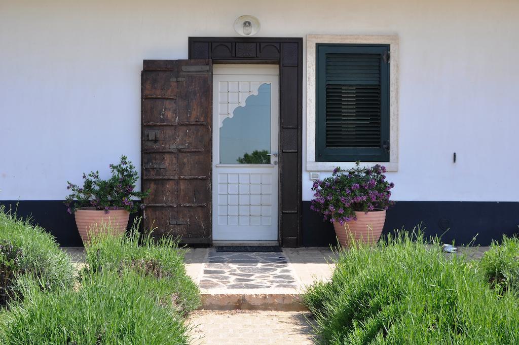 Bed&Breakfast Villa Lavanda Noci Exteriör bild