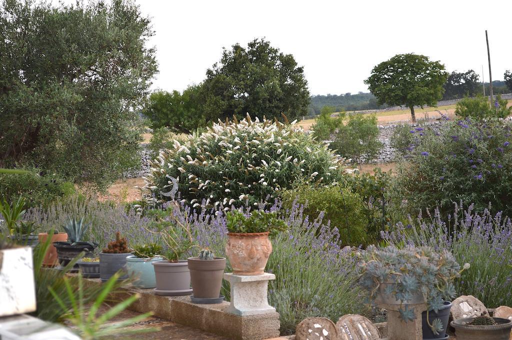 Bed&Breakfast Villa Lavanda Noci Exteriör bild