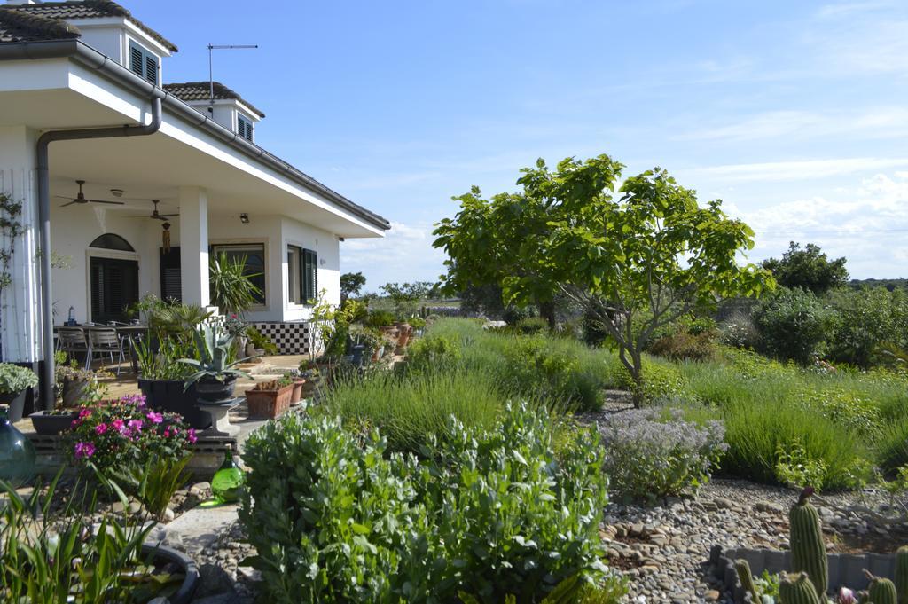 Bed&Breakfast Villa Lavanda Noci Exteriör bild